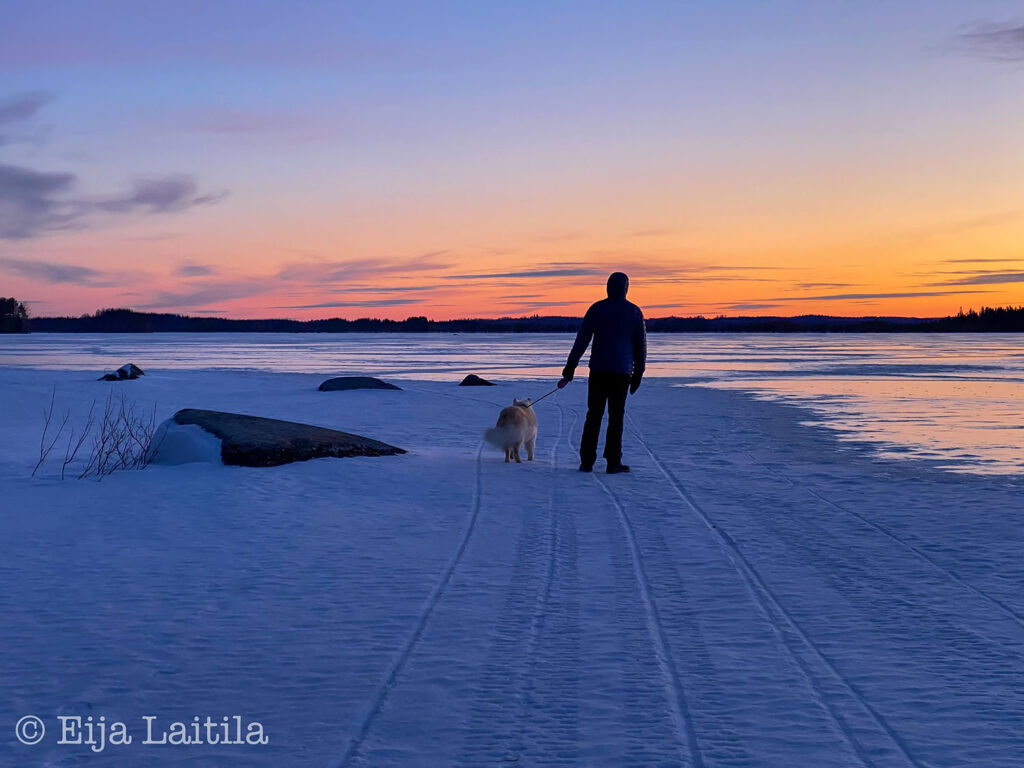 Ihminen kävelee jäällä koiran kanssa.