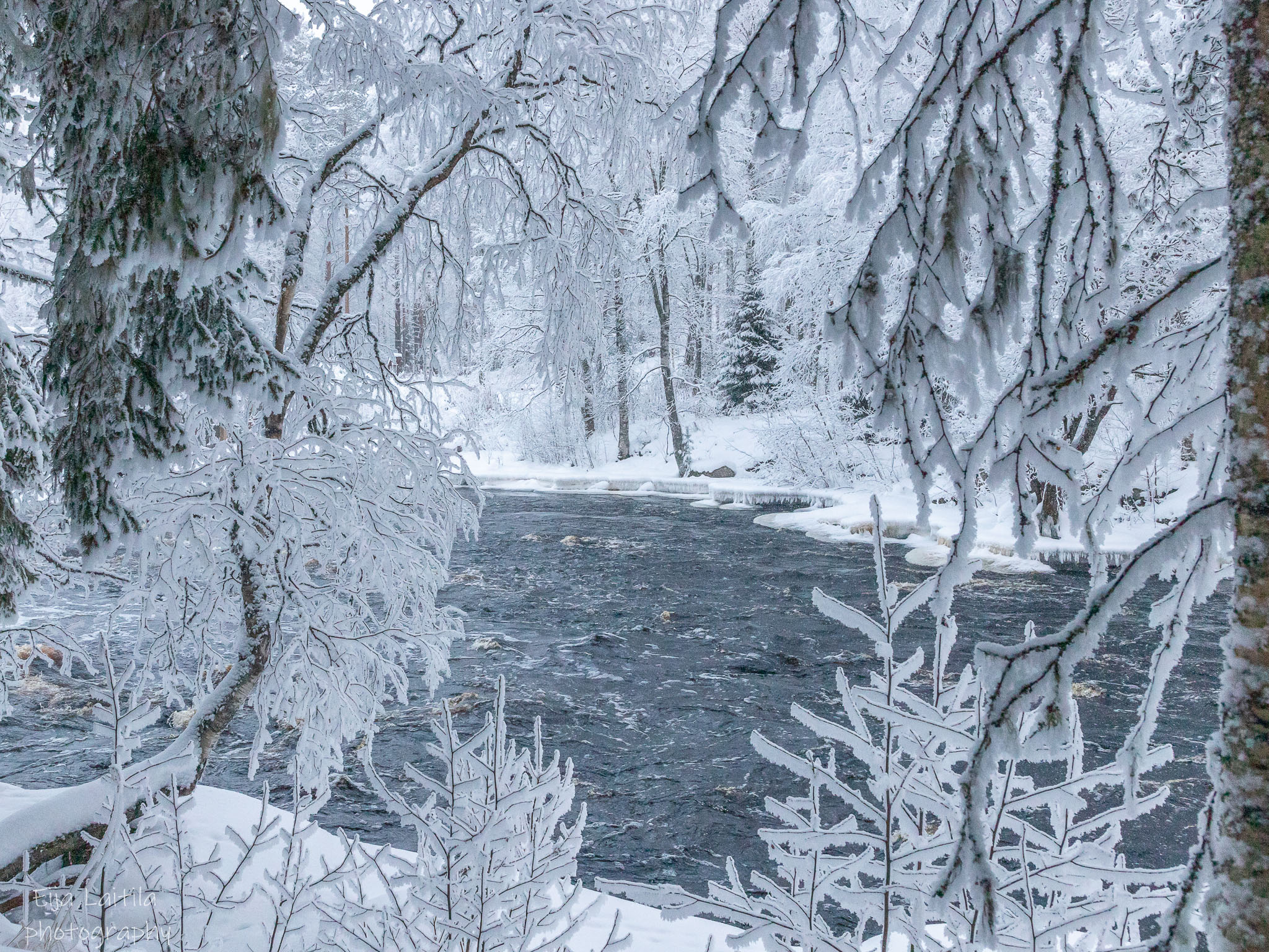 Talvinen joki näkyy kuuraisien puun oksien takaa.