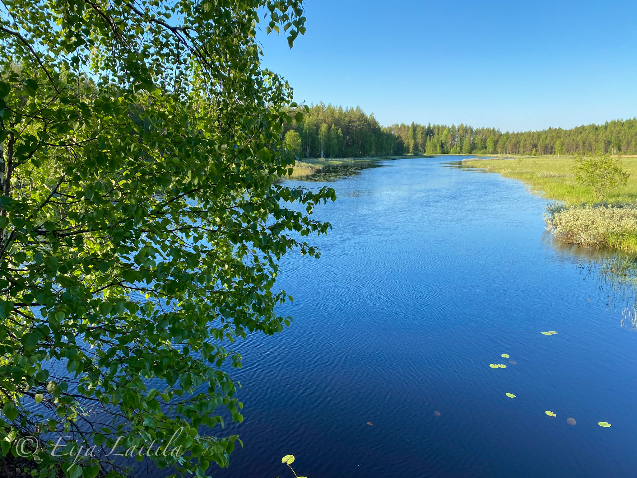 Kesäinen järvimaisema.