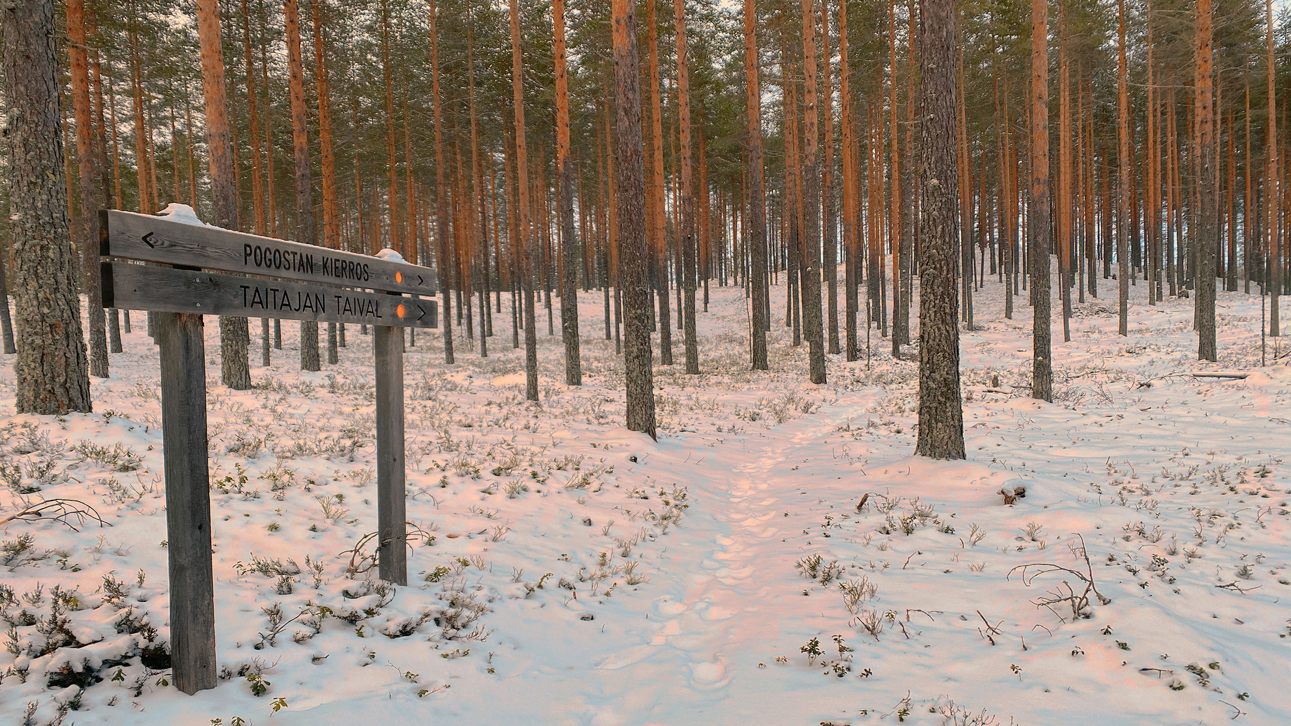 Retkeilyreitti metsässä ja opastetaulut.